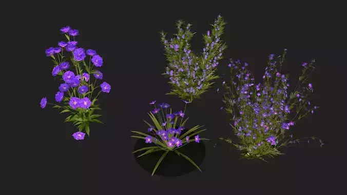 Four wild flowers