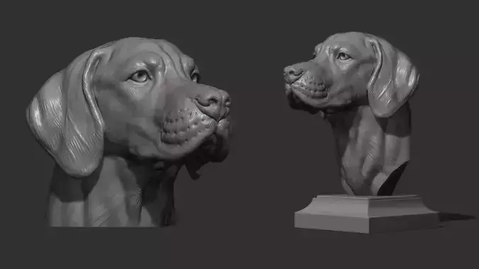 Hungarian Vizsla dog 3D print model