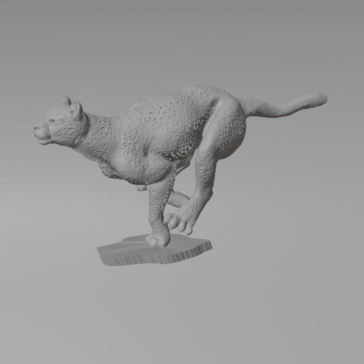 Guepardo 3D print model_2