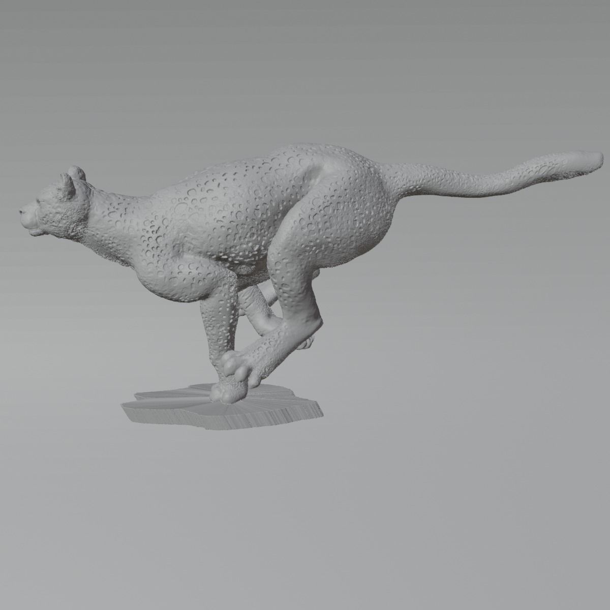Guepardo 3D print model_8