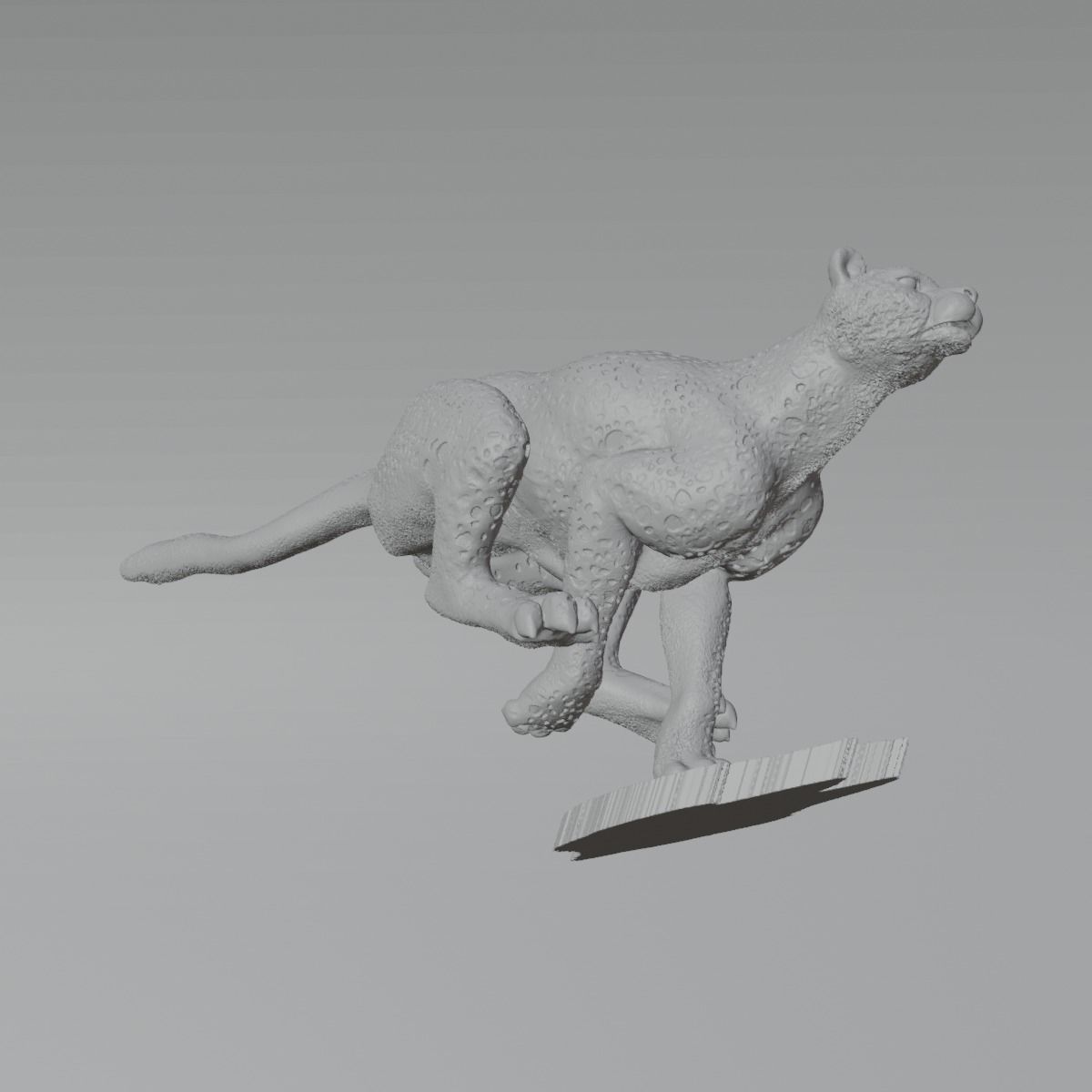 Guepardo 3D print model_3