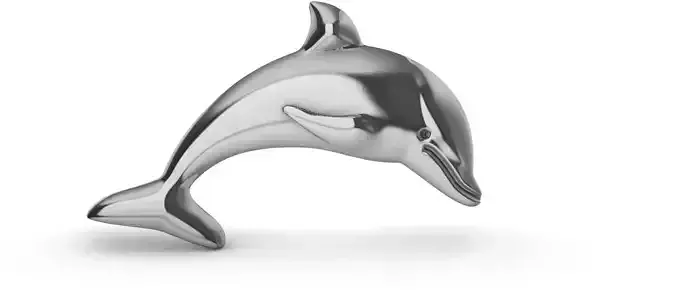 Dolphin 3D print model