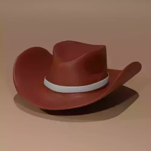Cowboy hat