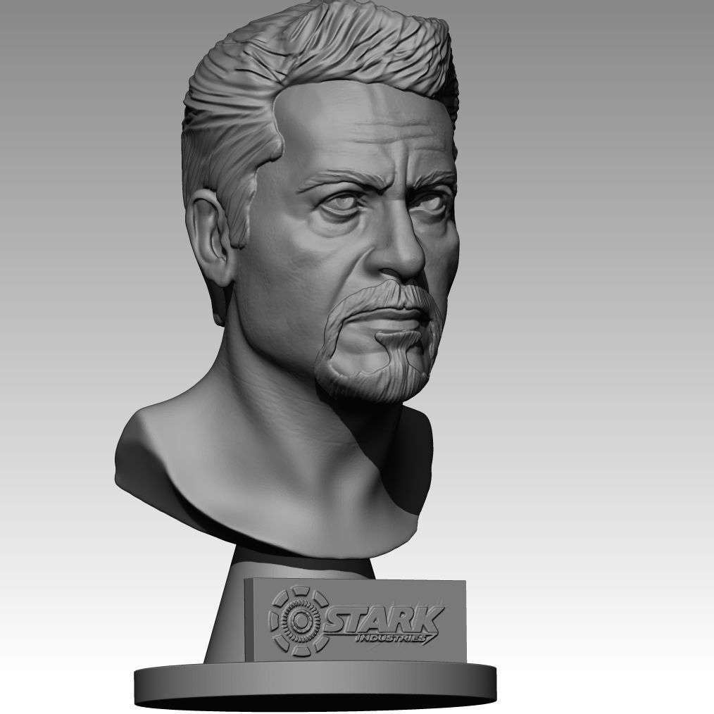 Tony Stark - Robert Downey Jr 3D print model_4