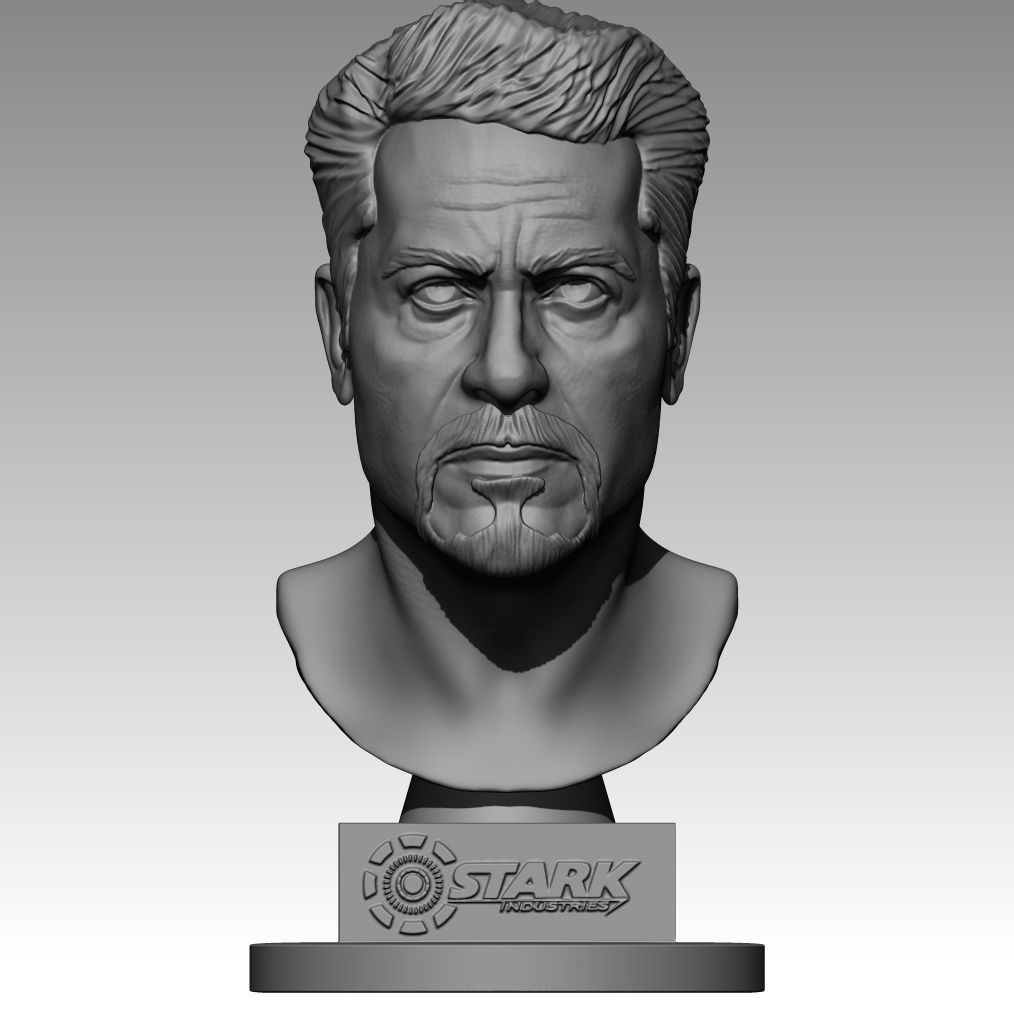 Tony Stark - Robert Downey Jr 3D print model_5