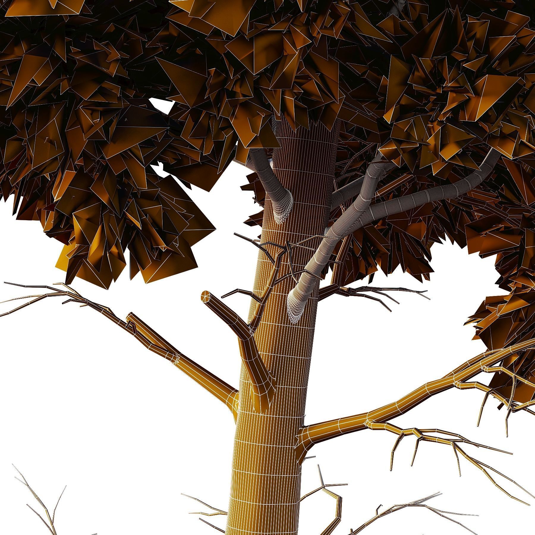 Chamaecyparis thyoides Tree02 3D model_3