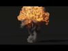 Animated Gasoline Explosion 2 3D model_3