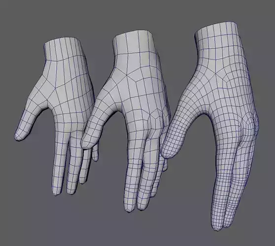 LP Hand base mesh Low-poly 3D model