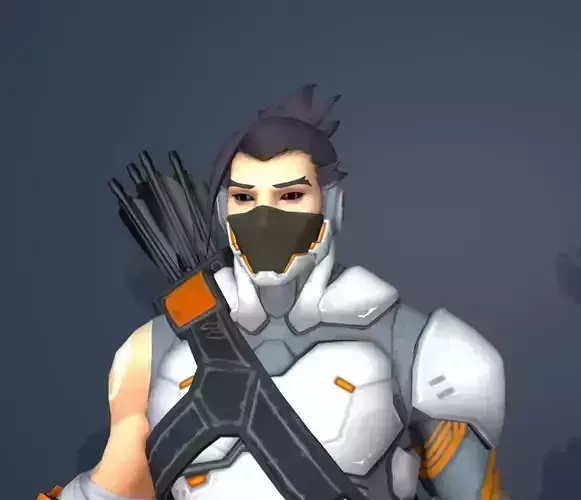 cyber ninja