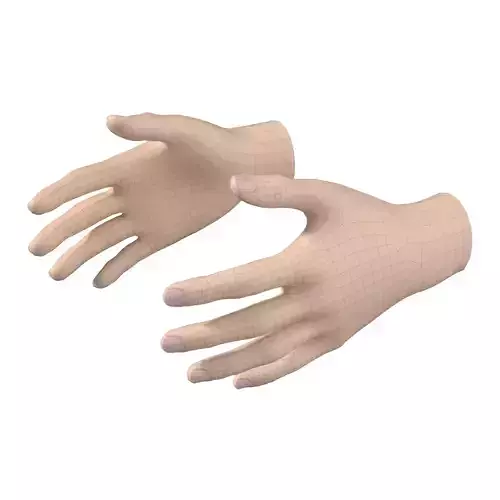 Female Hand Base Mesh 02 3D model