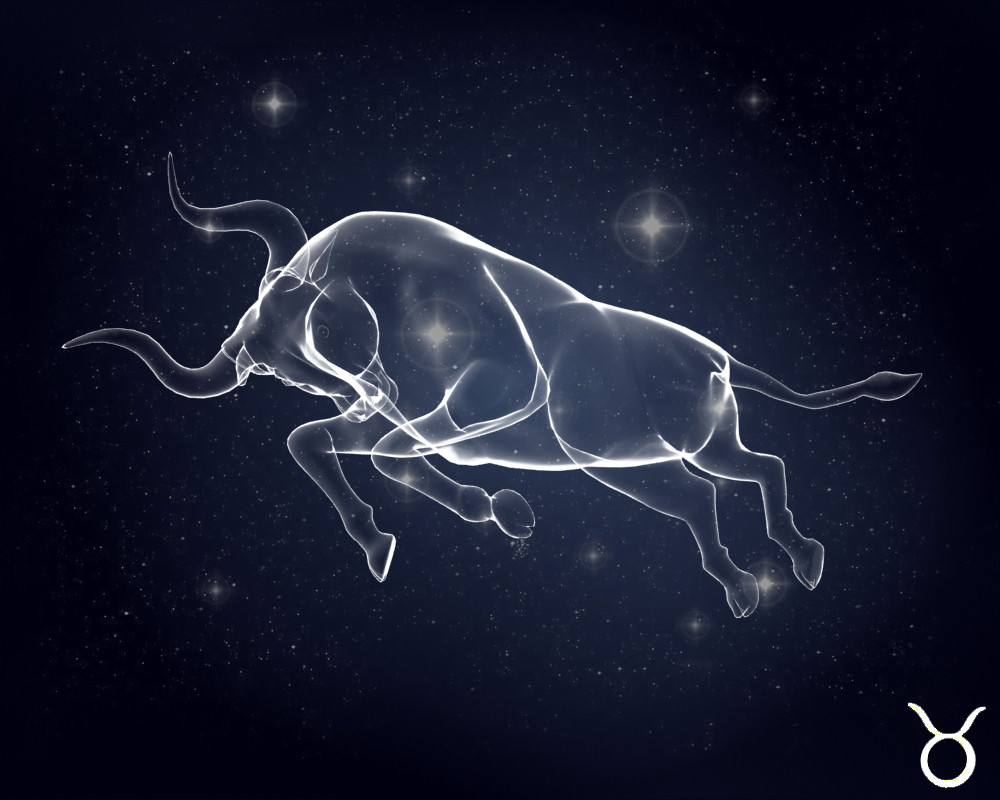 3D Models Zodiac Signs 3D model_12