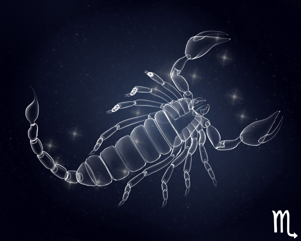 3D Models Zodiac Signs 3D model_10