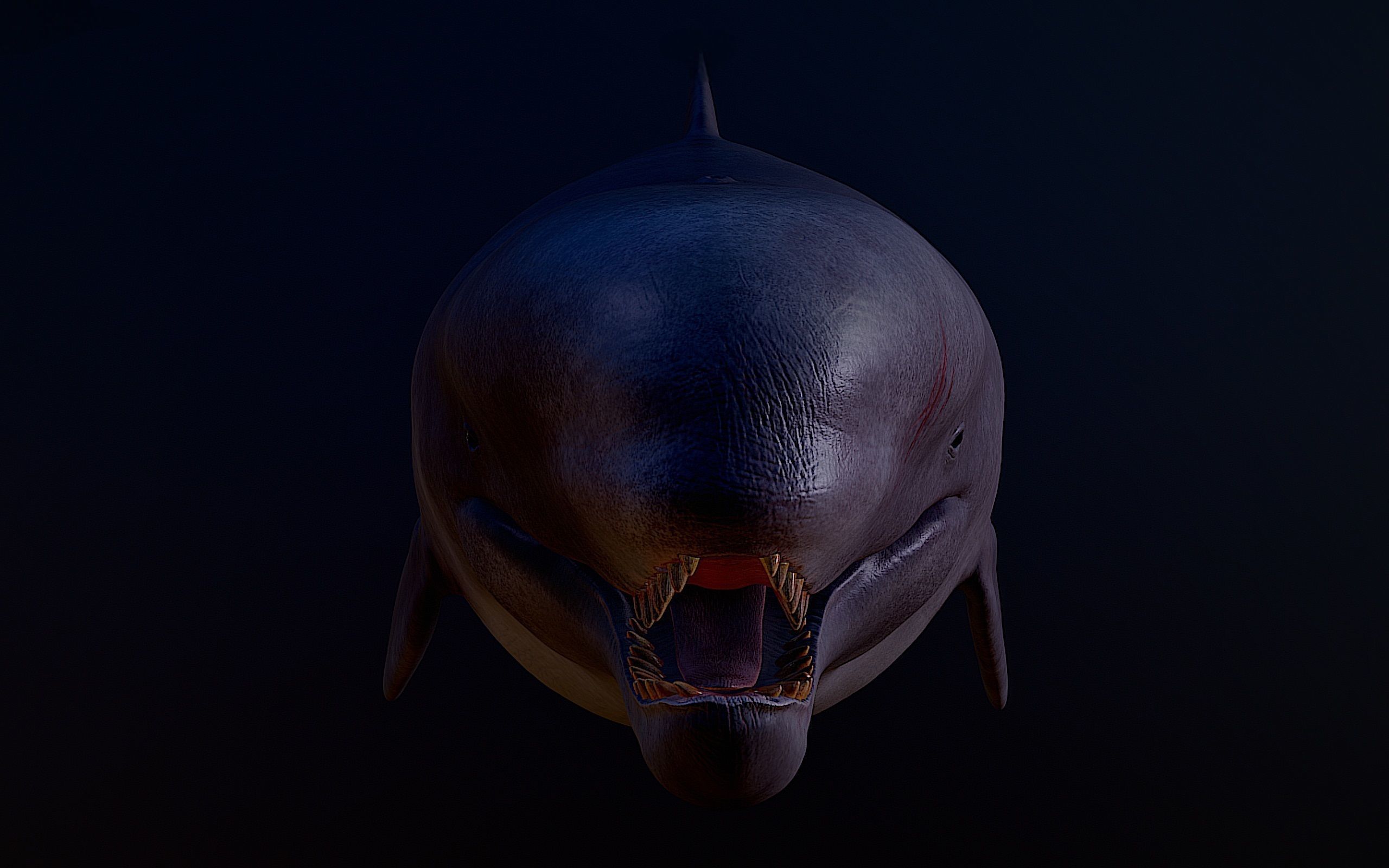 Livyatan Melvillei  3D model_4
