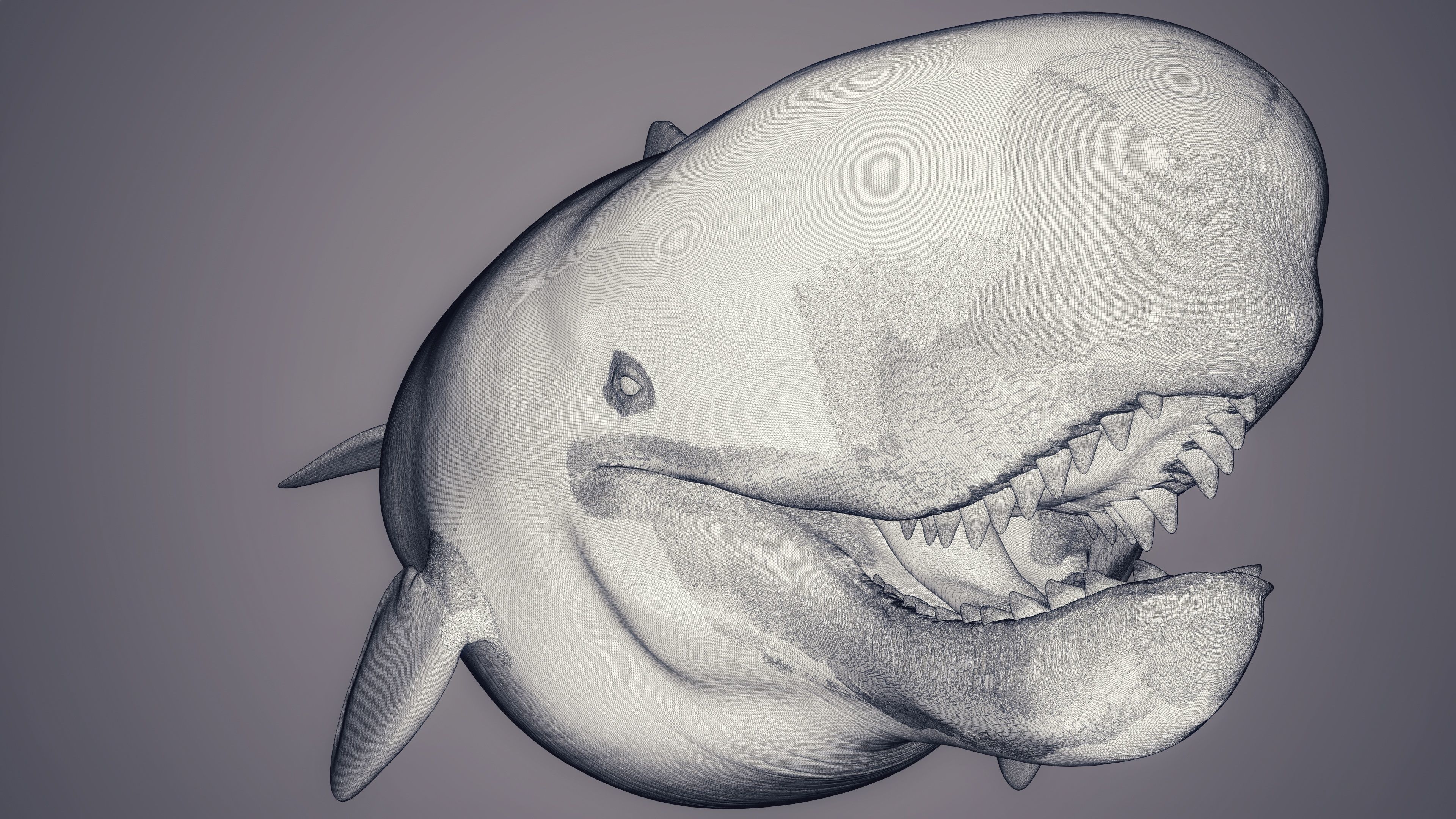 Livyatan Melvillei  3D model_12