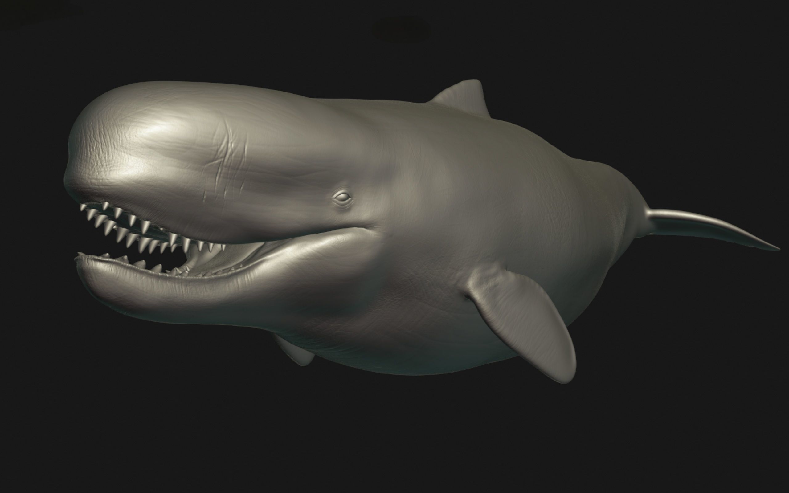 Livyatan Melvillei  3D model_2