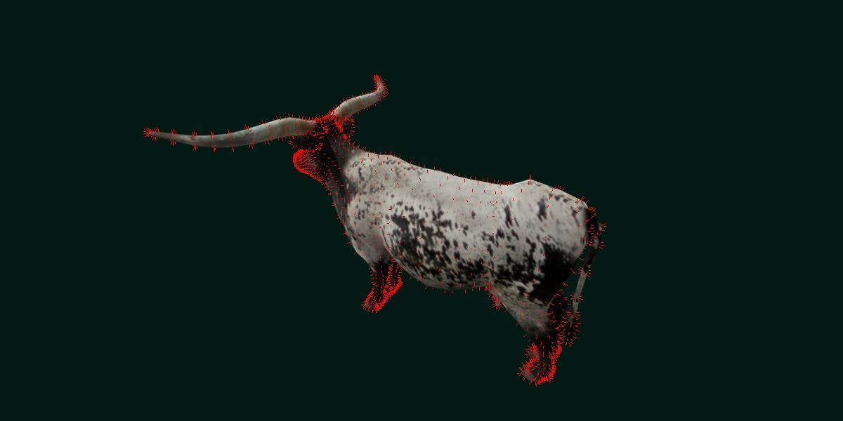 Texas Longhorn Beef Cattle Low-poly 3D model_13