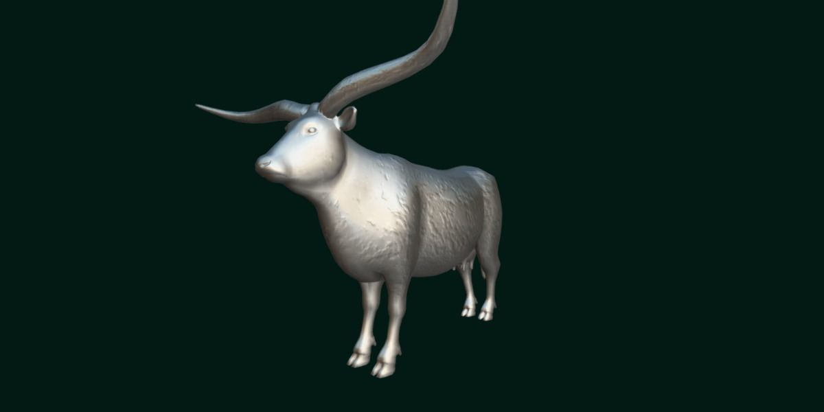 Texas Longhorn Beef Cattle Low-poly 3D model_8