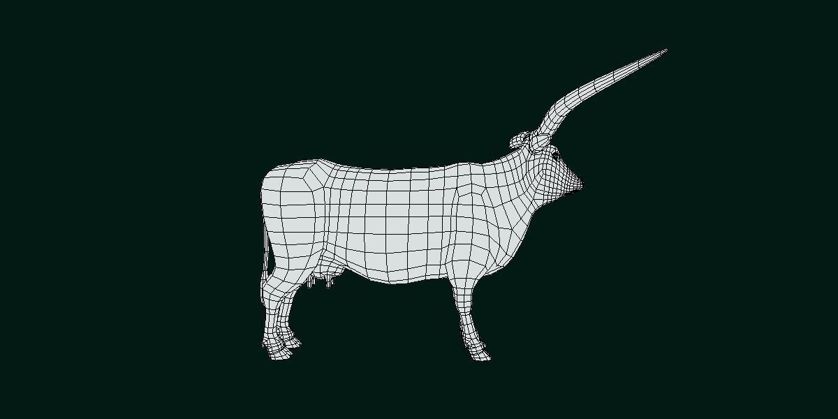 Texas Longhorn Beef Cattle Low-poly 3D model_11