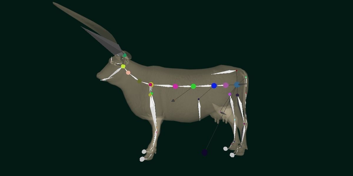 Texas Longhorn Beef Cattle Low-poly 3D model_18