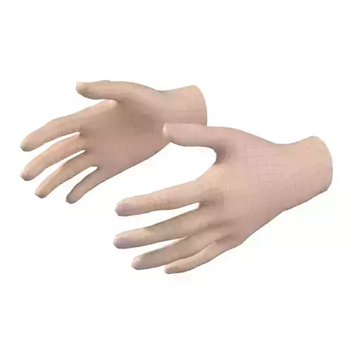 Female Hand Base Mesh 03 3D model