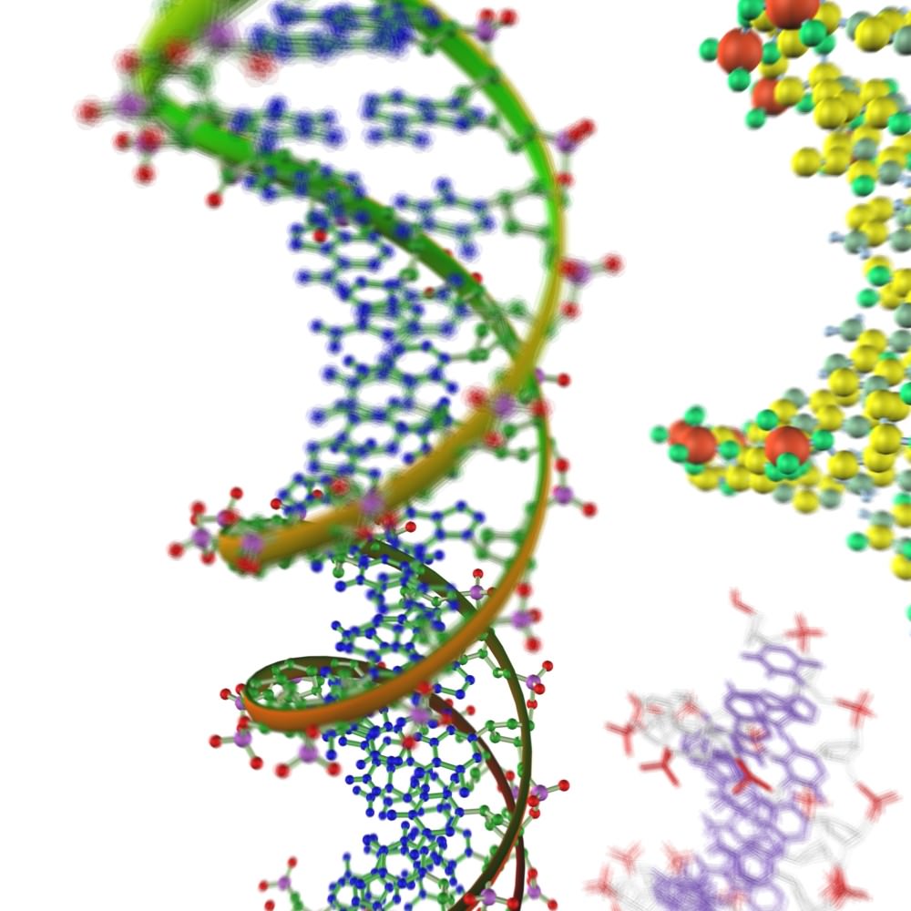 T Rex Car Price >> DNA chains 3D Model .max .obj - CGTrader.com T Rex Car Price >> DNA chains 3D Model .max .obj - CGTrader.com
