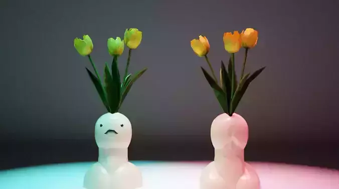 3D printable penis shaped flower vase cute dick figure