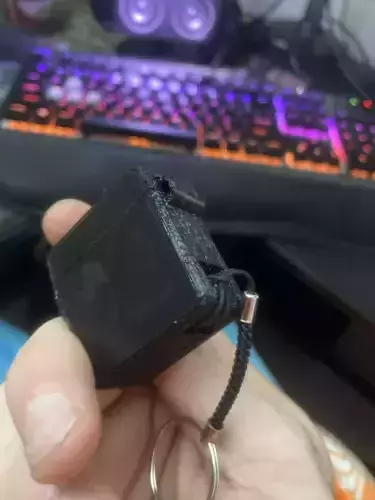 Case for Nintendo Switch RCM