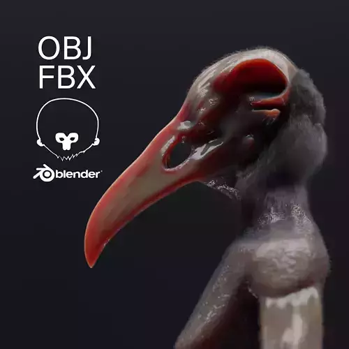 Opium Bird  Low-poly 3D model