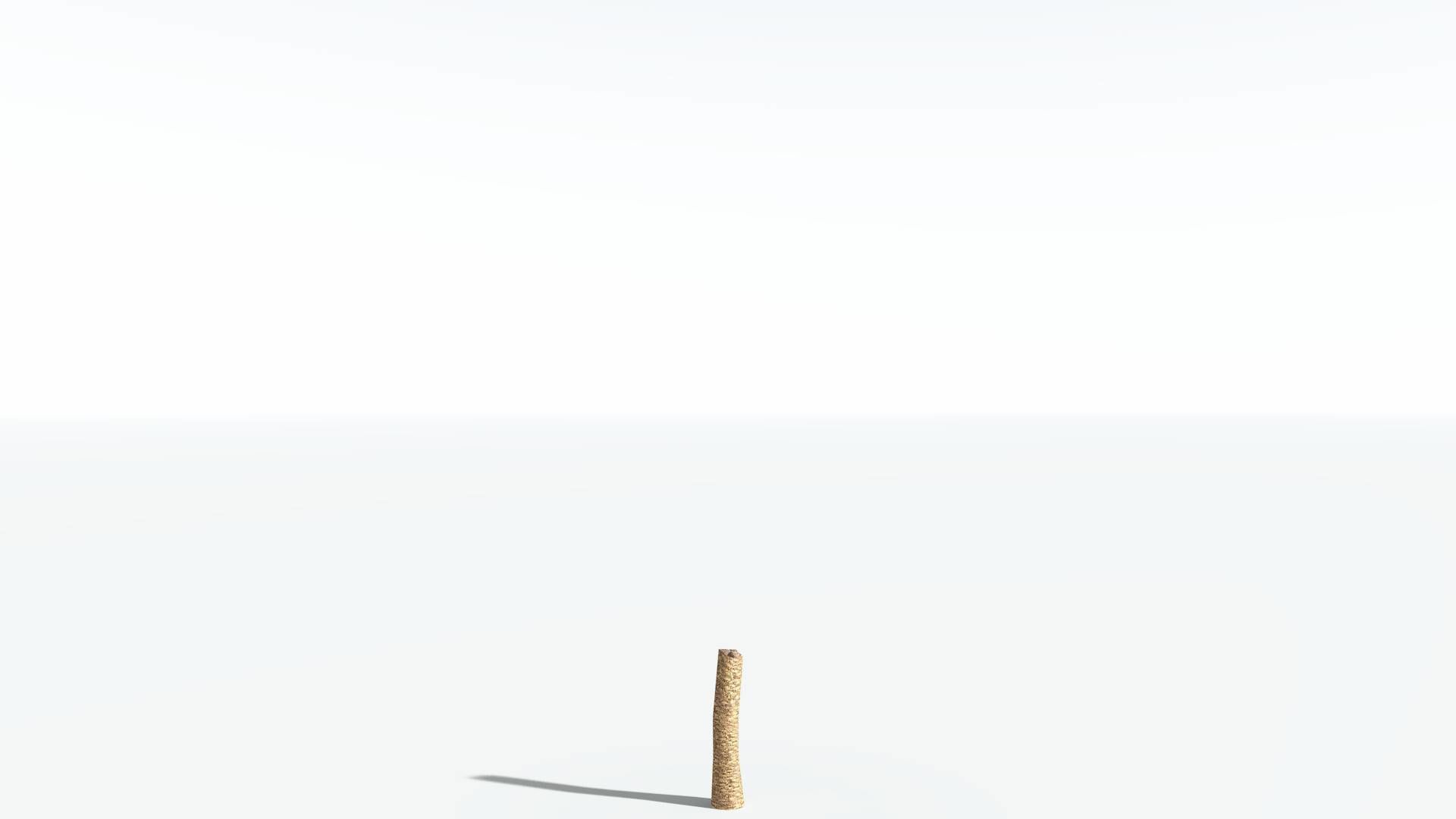 EVERYPlant African Oil Palm LowPoly 4 --16 Models-- Low-poly 3D model_12