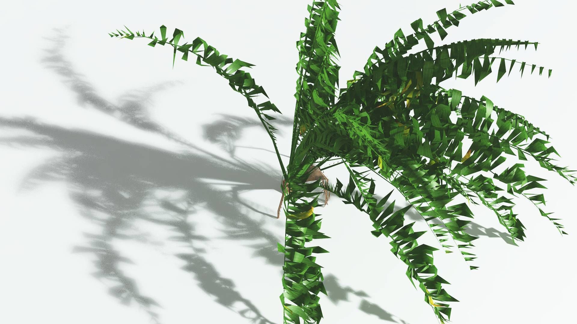 EVERYPlant African Oil Palm LowPoly 4 --16 Models-- Low-poly 3D model_23