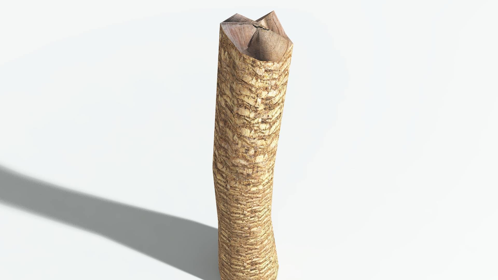 EVERYPlant African Oil Palm LowPoly 4 --16 Models-- Low-poly 3D model_13