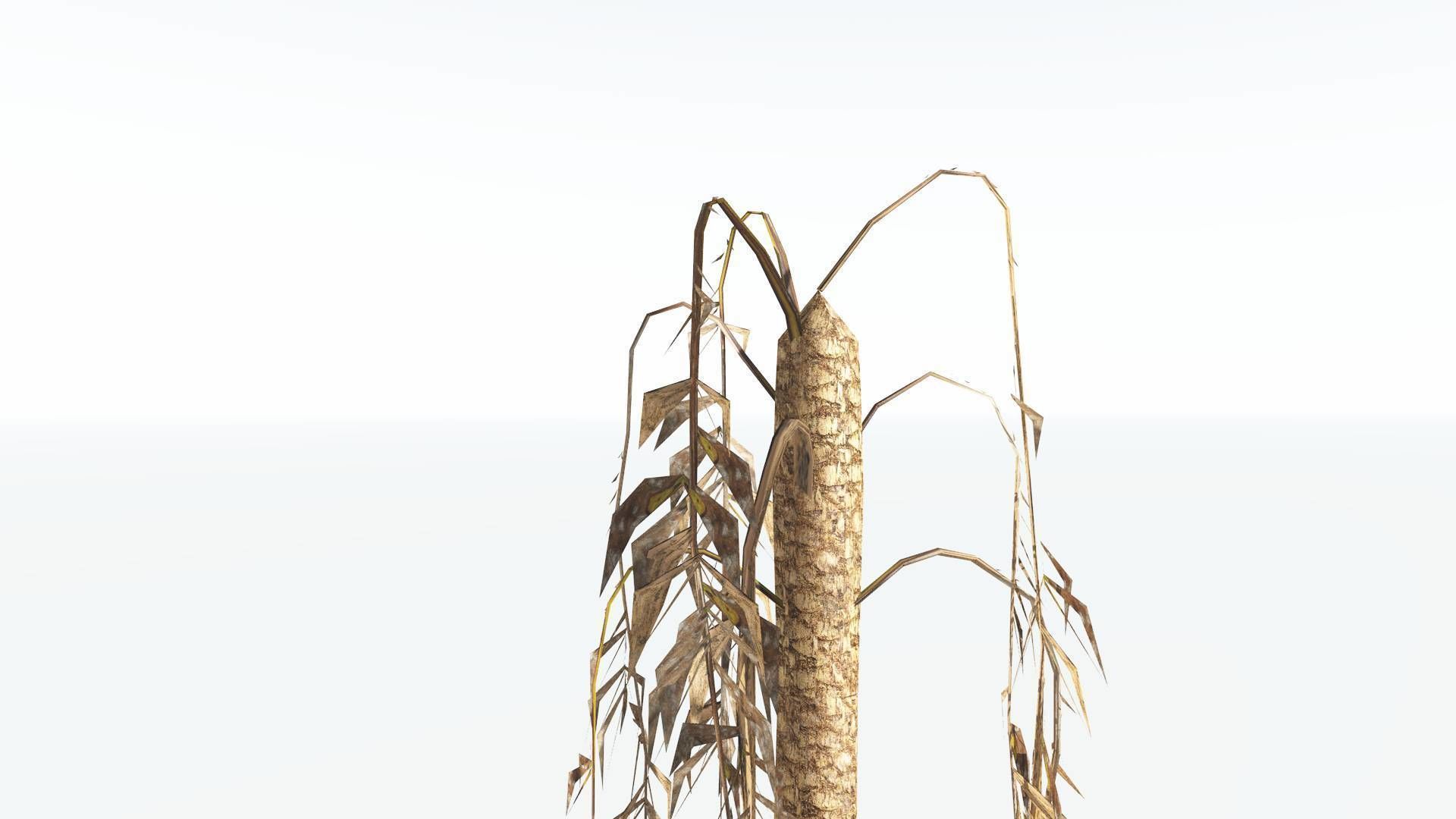 EVERYPlant African Oil Palm LowPoly 4 --16 Models-- Low-poly 3D model_11