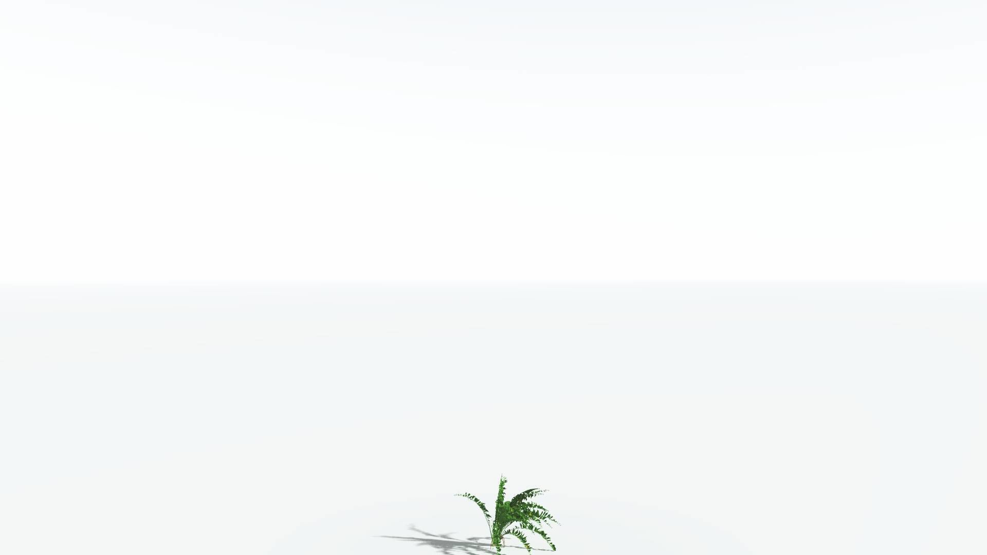 EVERYPlant African Oil Palm LowPoly 4 --16 Models-- Low-poly 3D model_22