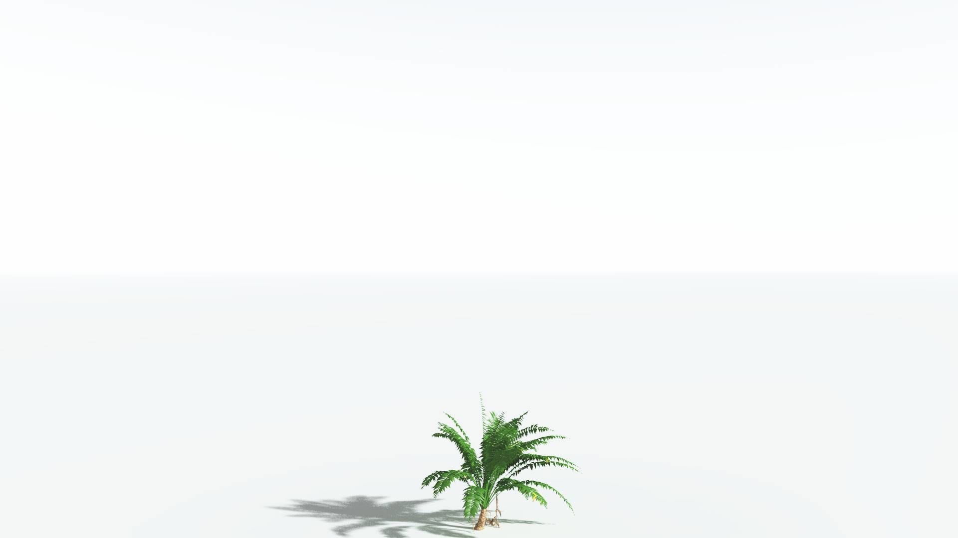 EVERYPlant African Oil Palm LowPoly 4 --16 Models-- Low-poly 3D model_20