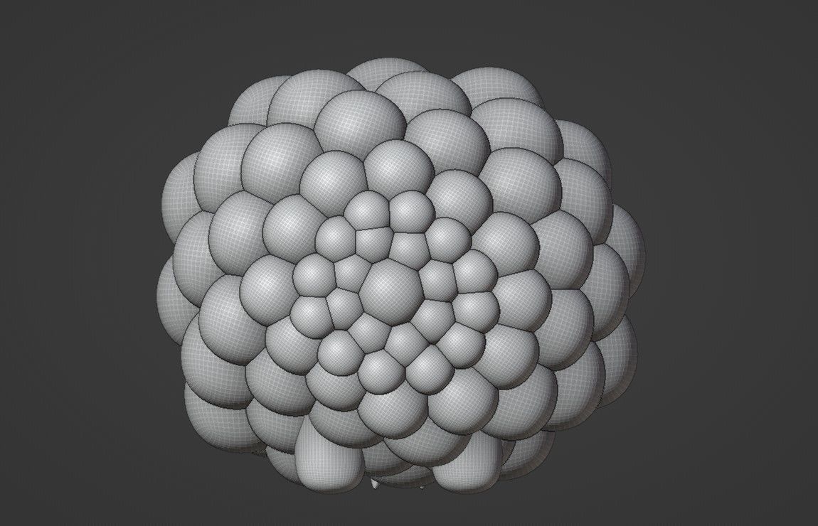 sheep 3D print model_4