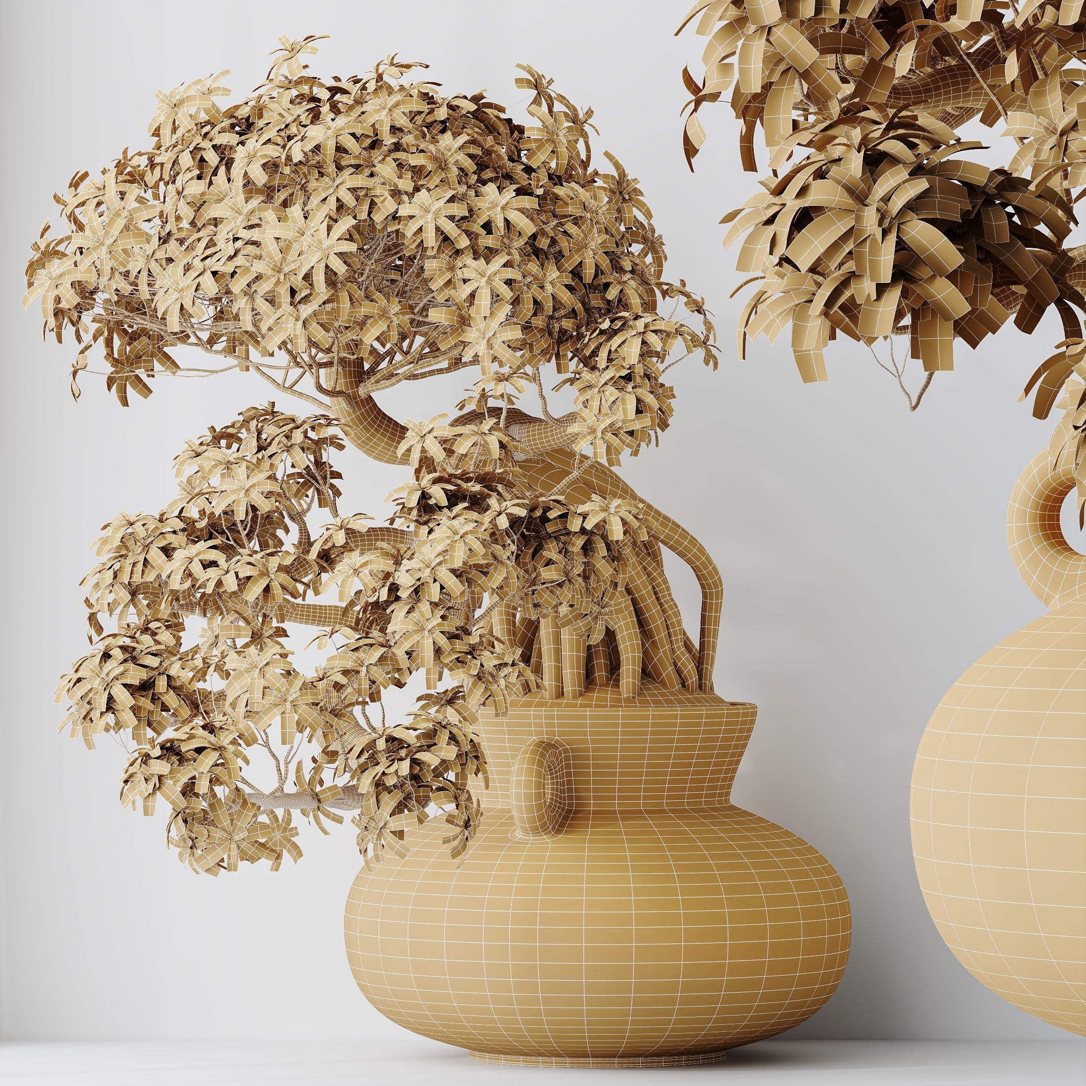 HQ HousePlants Ficus Retusa Microcarpa Bonsai Ginseng09 3D model_3