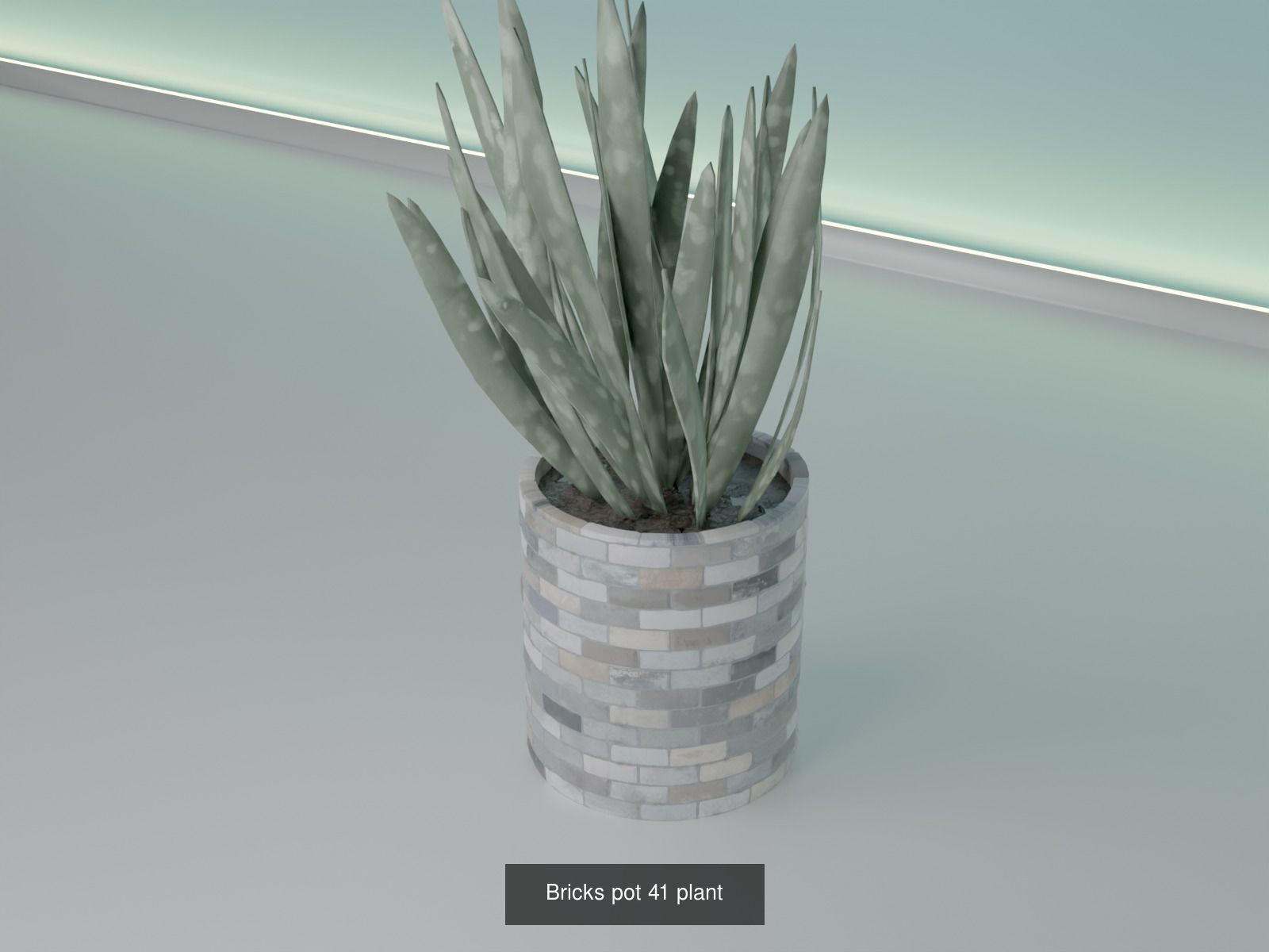 100 plant pot colection 3D Model Collection_55