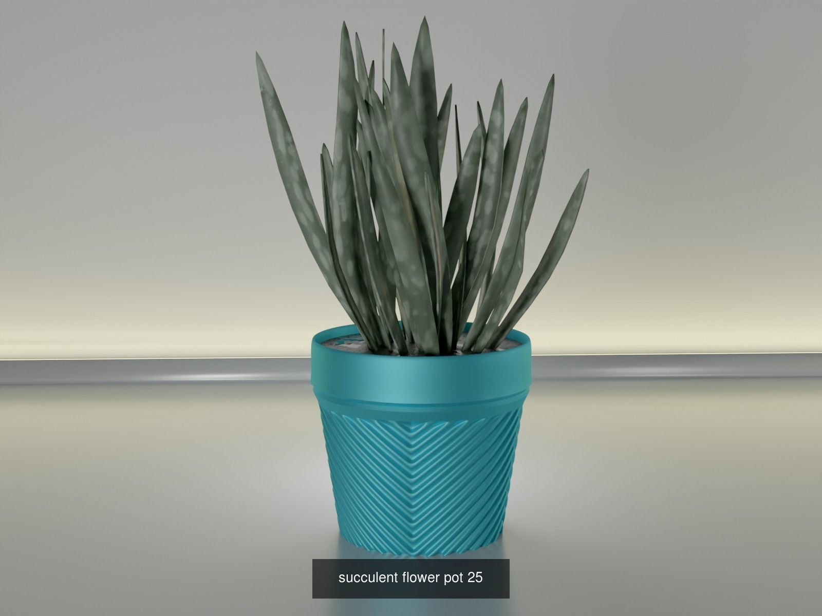100 plant pot colection 3D Model Collection_38