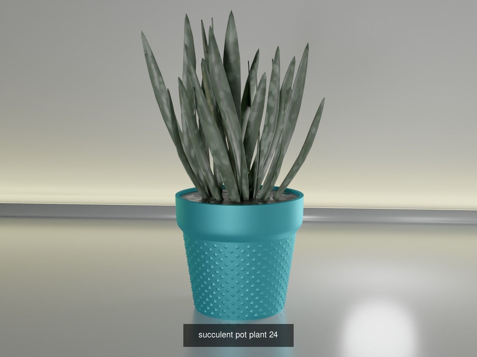 100 plant pot colection 3D Model Collection_37