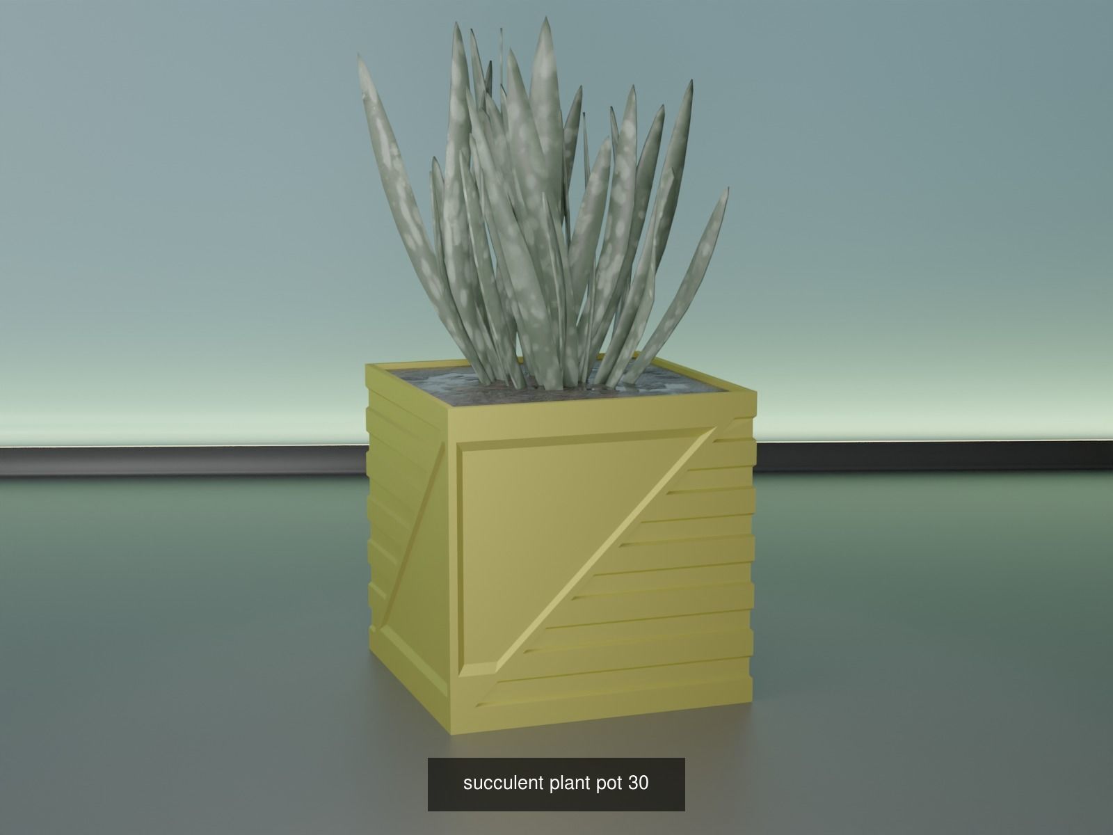 100 plant pot colection 3D Model Collection_43