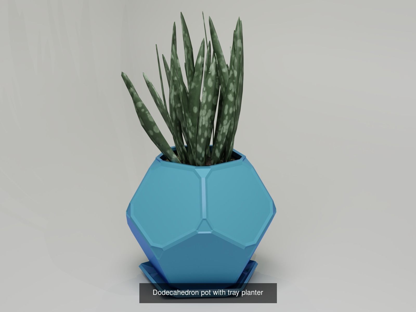 100 plant pot colection 3D Model Collection_13
