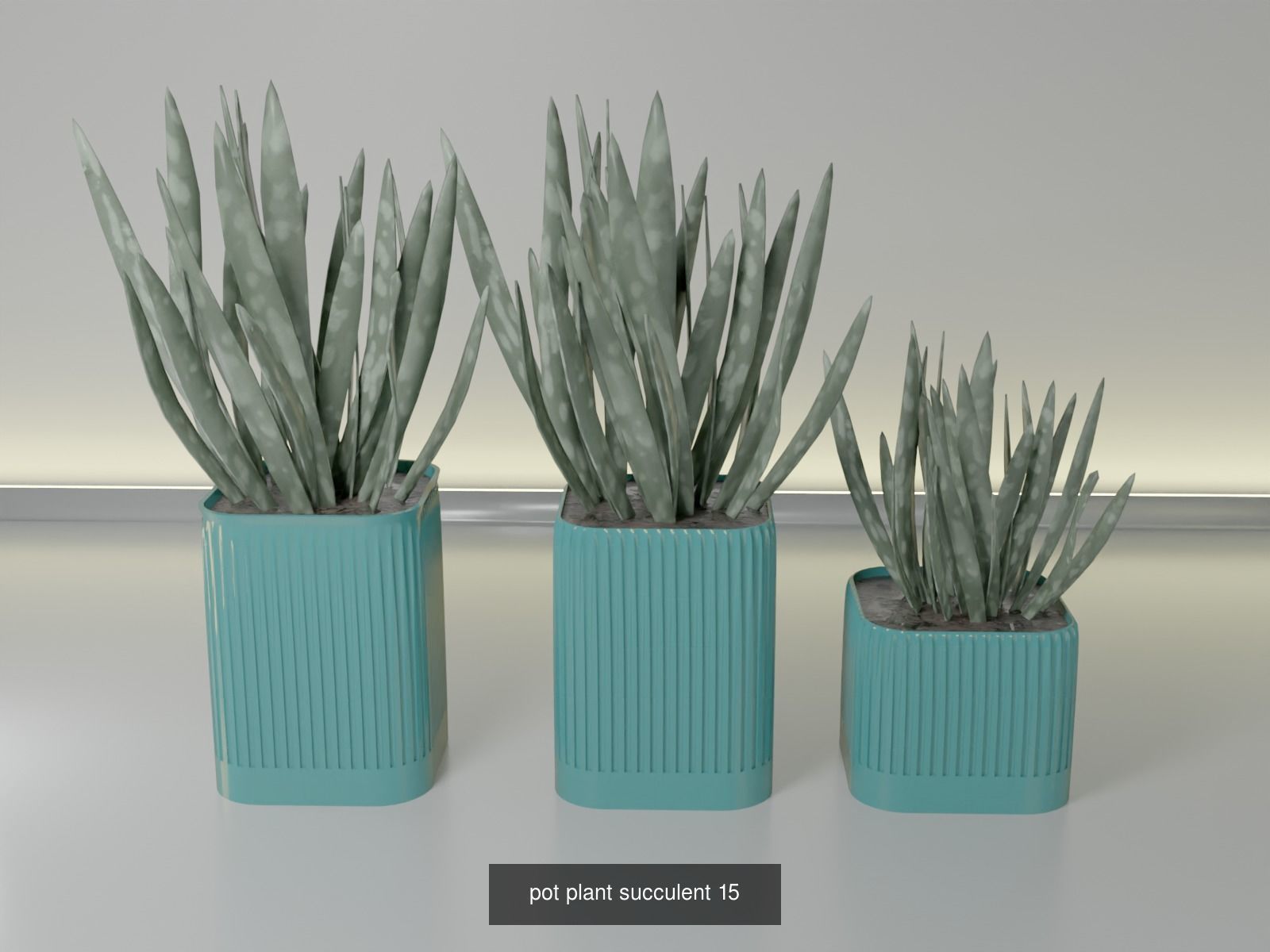 100 plant pot colection 3D Model Collection_29