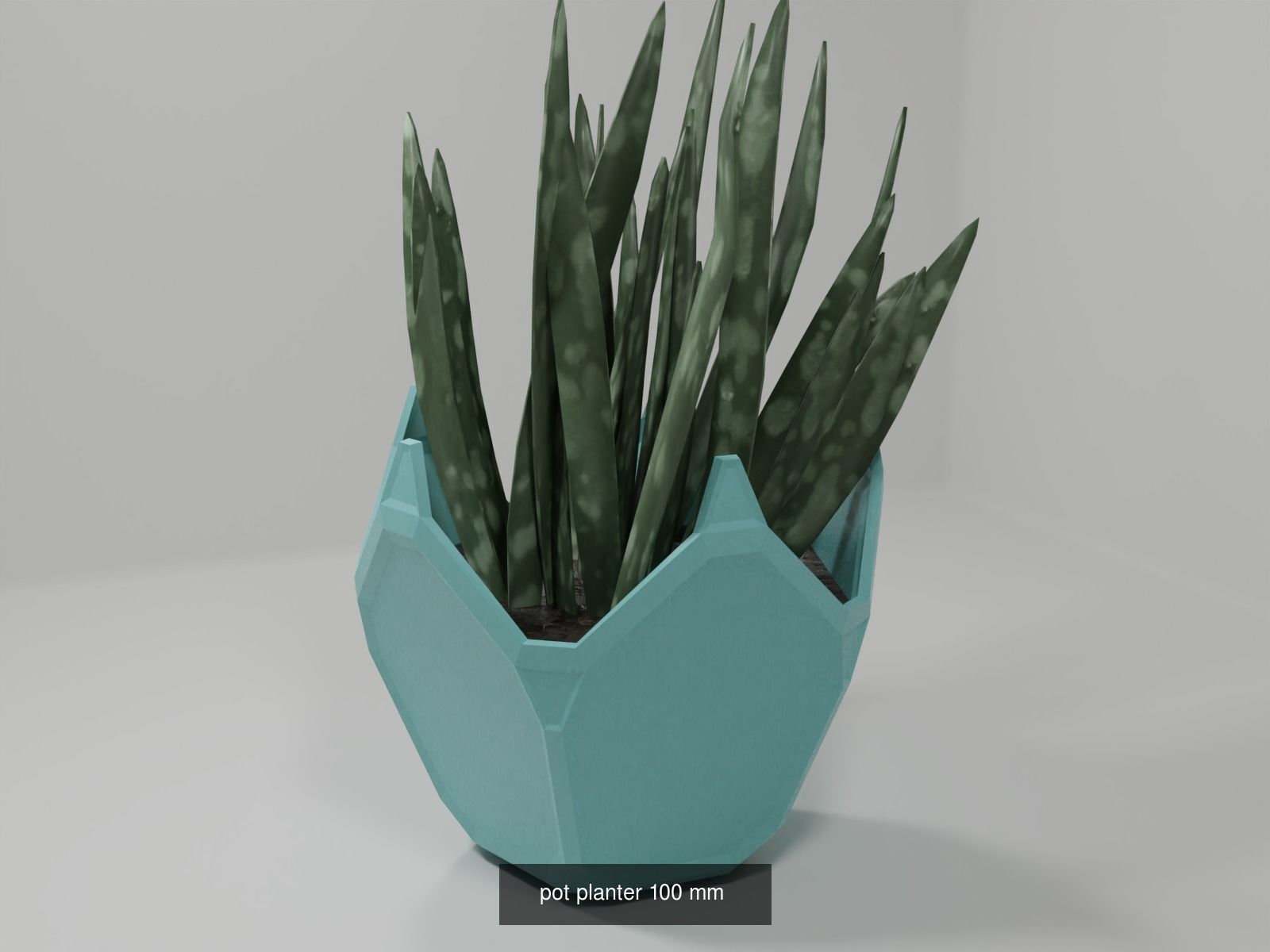 100 plant pot colection 3D Model Collection_14