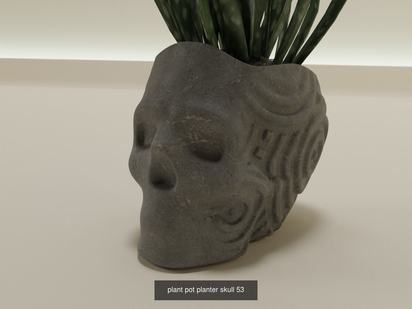 100 plant pot colection 3D Model Collection_67