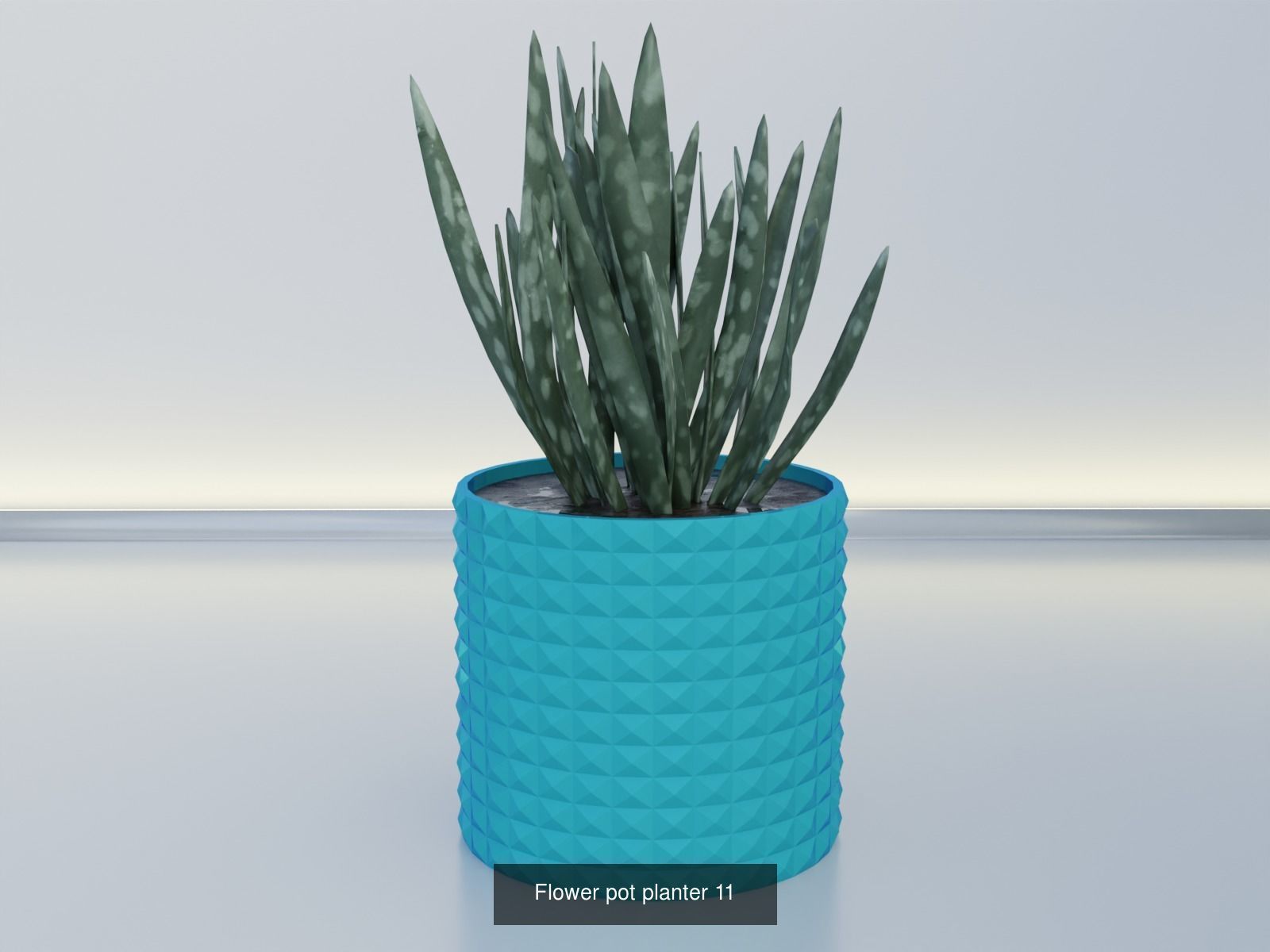100 plant pot colection 3D Model Collection_25