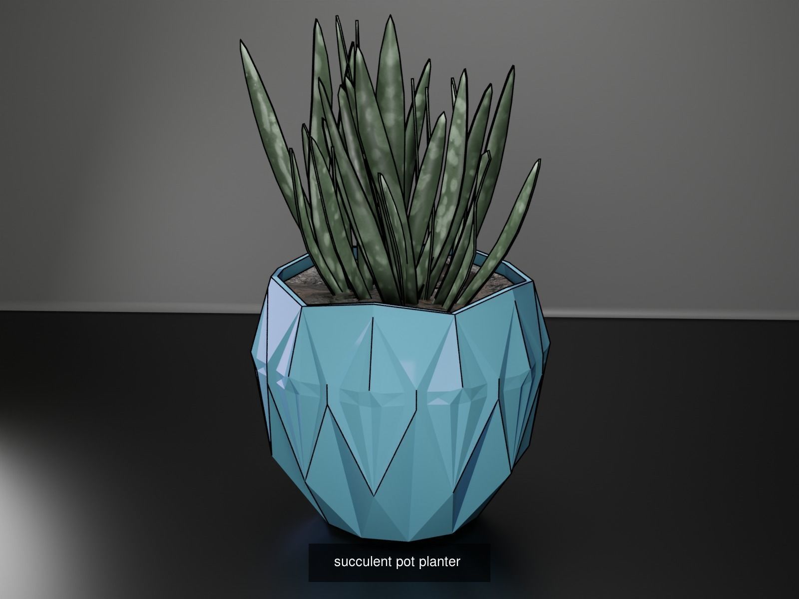 100 plant pot colection 3D Model Collection_16