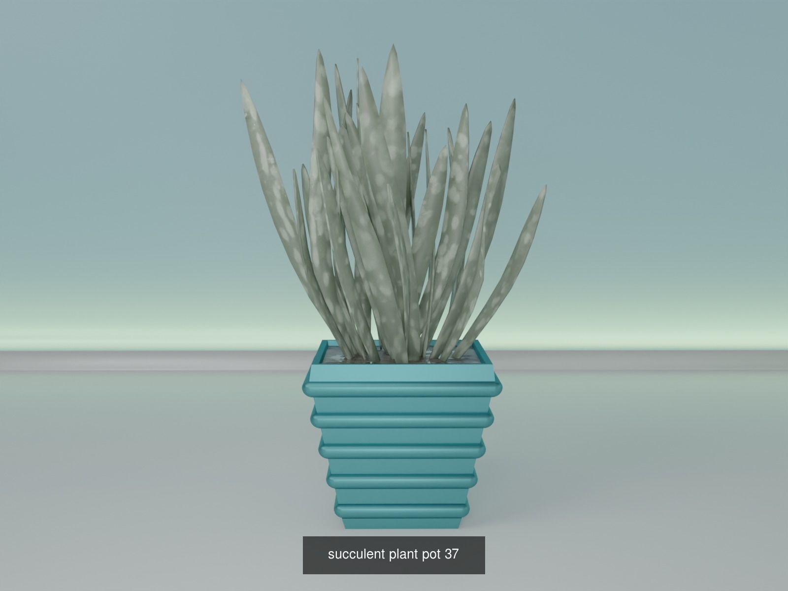 100 plant pot colection 3D Model Collection_51