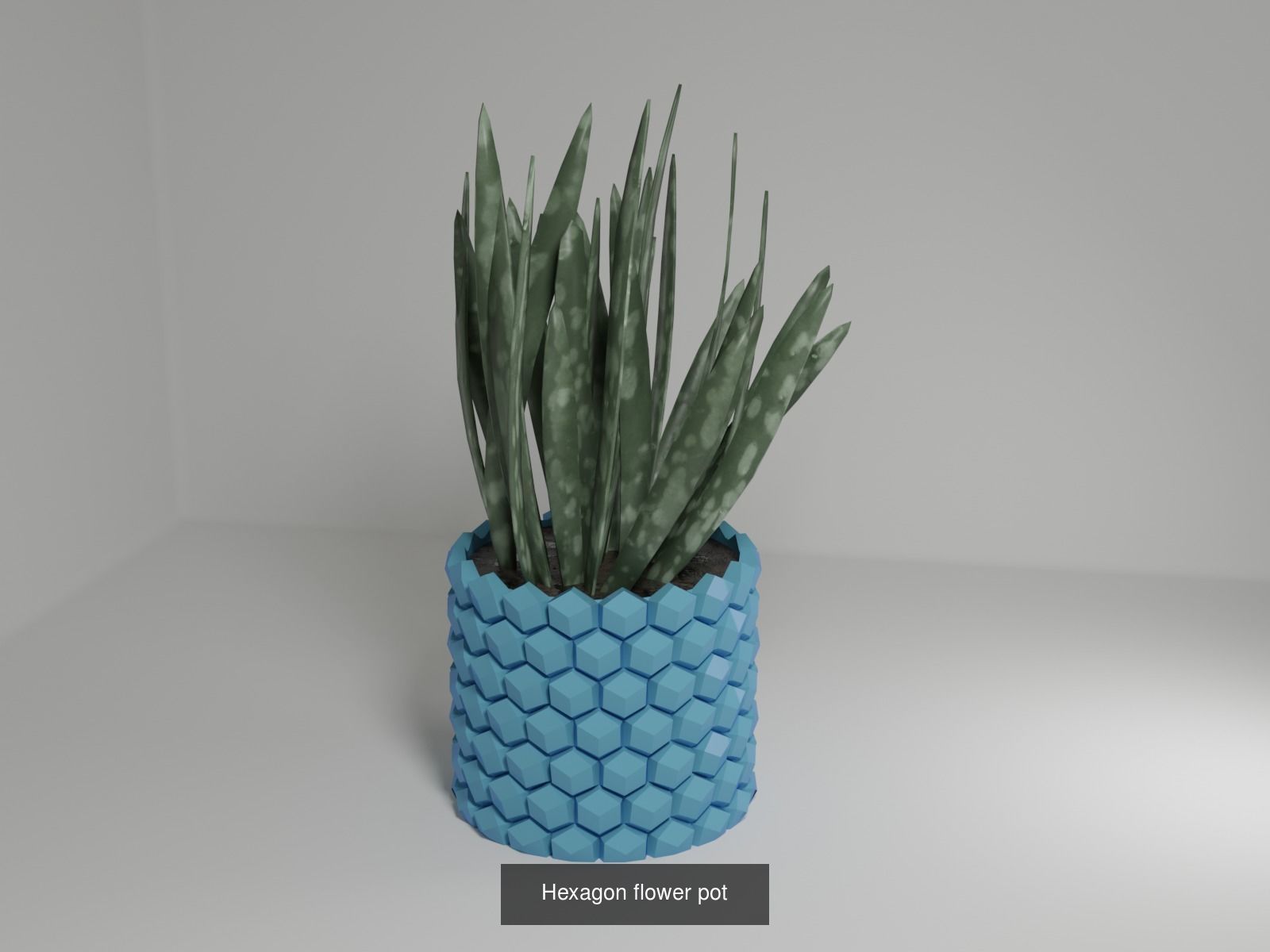 100 plant pot colection 3D Model Collection_15