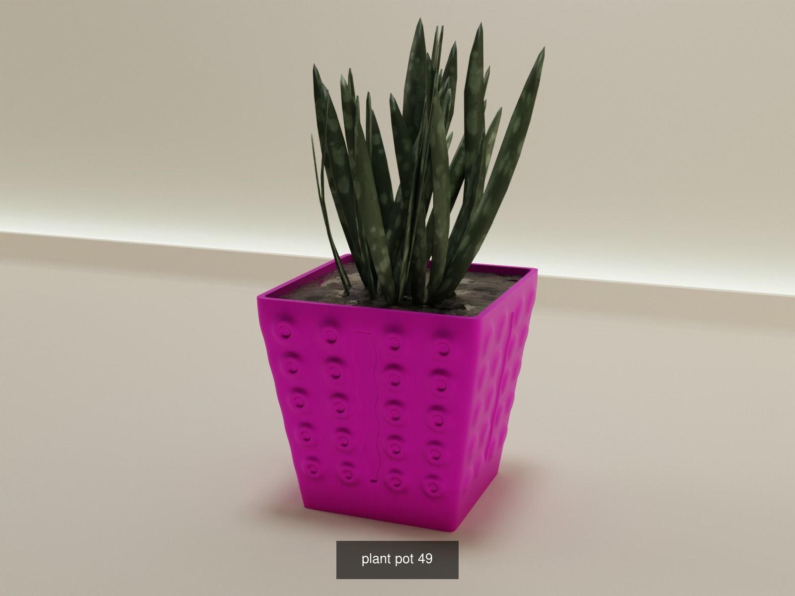 100 plant pot colection 3D Model Collection_63