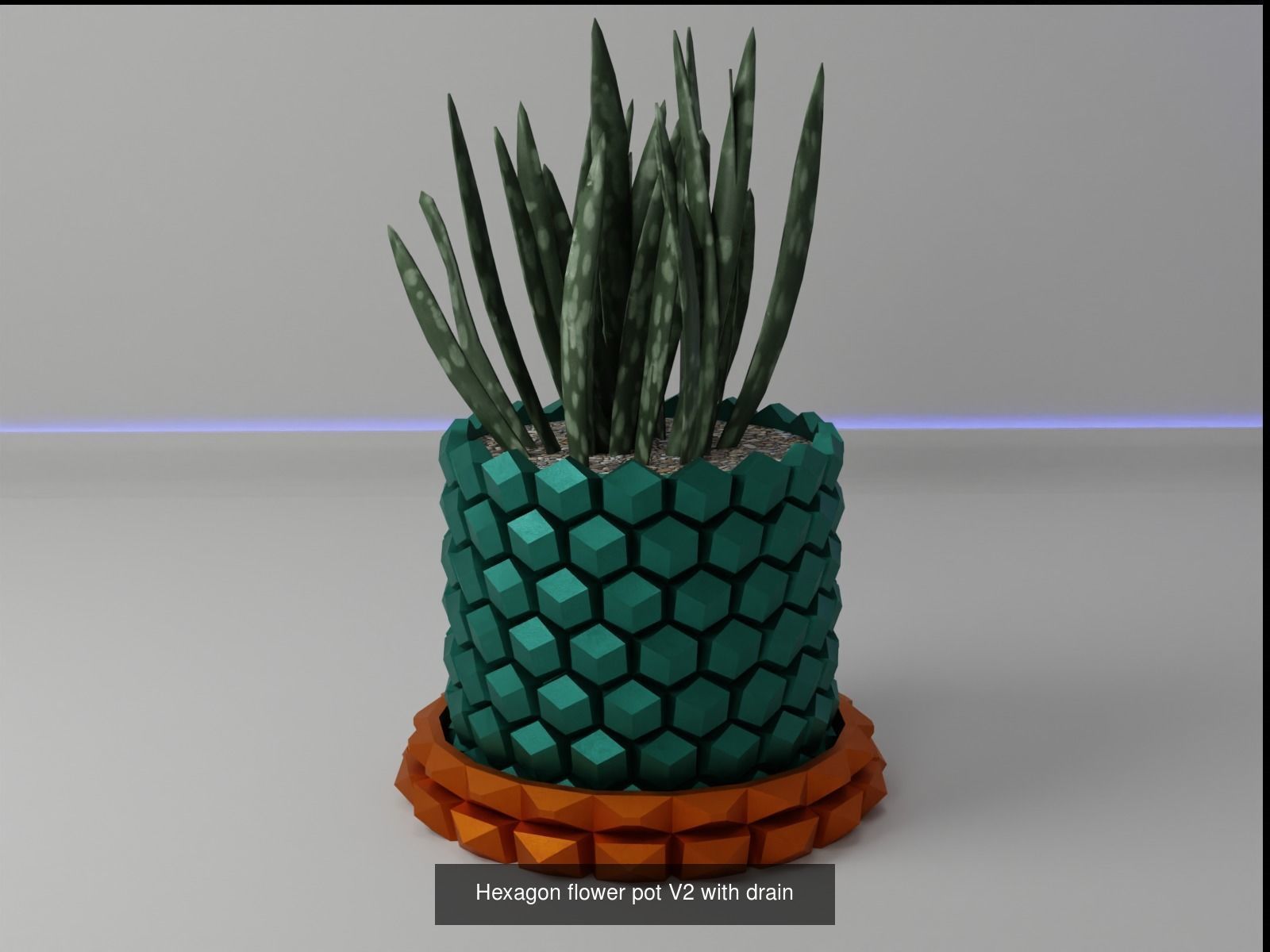 100 plant pot colection 3D Model Collection_112